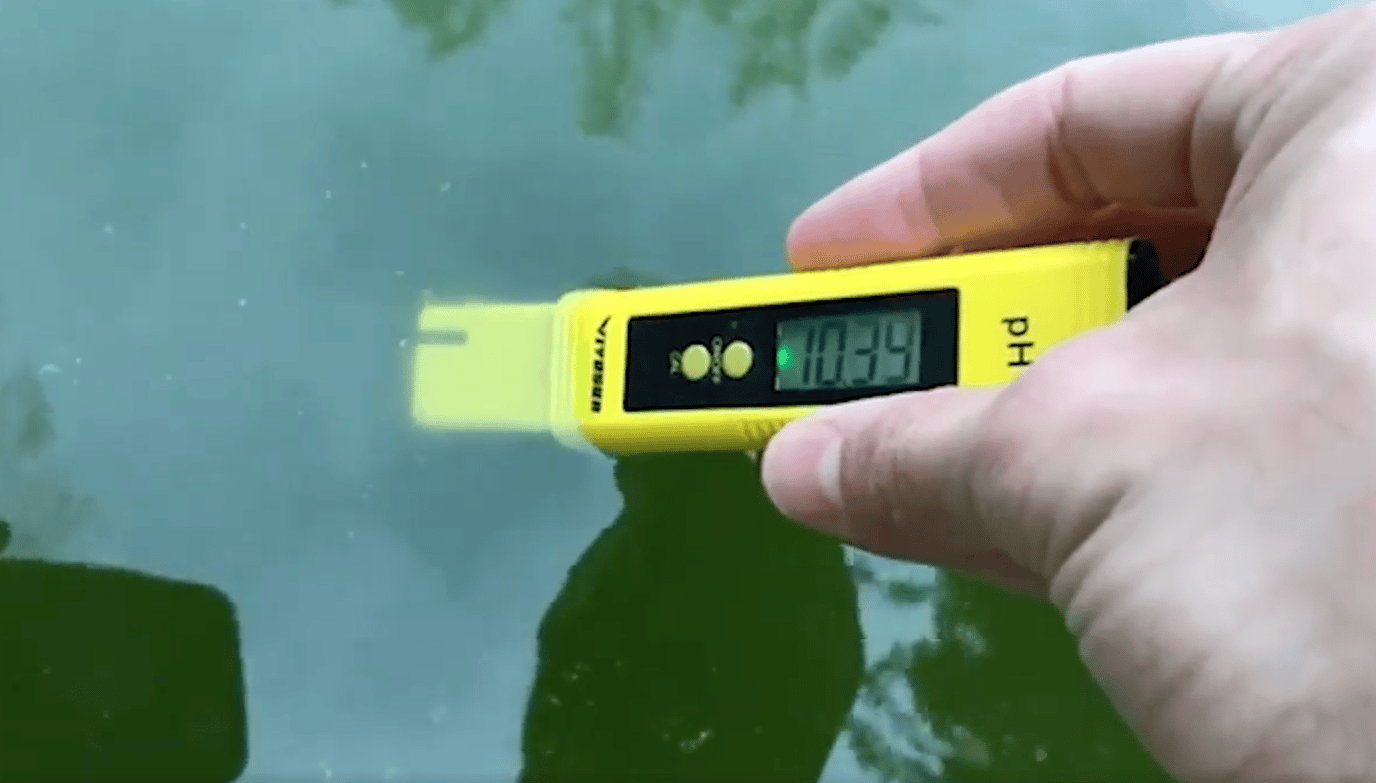 How to know if you have phosphates in your pool